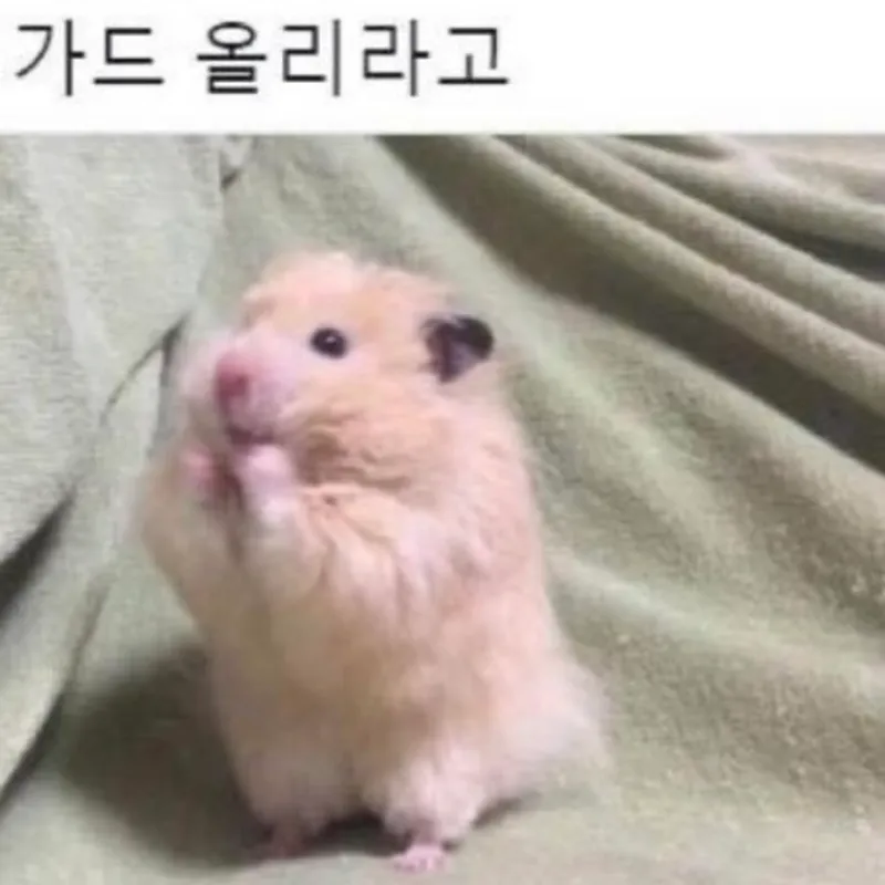 여팔이들 .. 웨이트 함 하자..