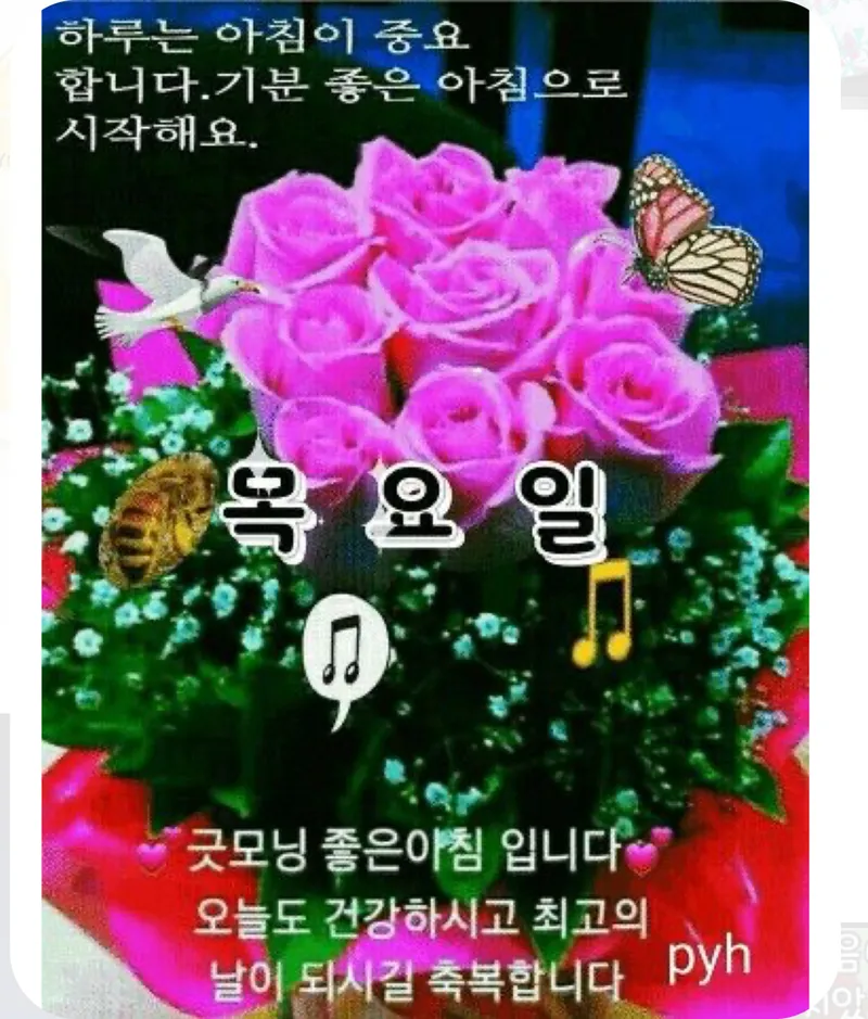 떡잎등산대 관악산 출동이다...
