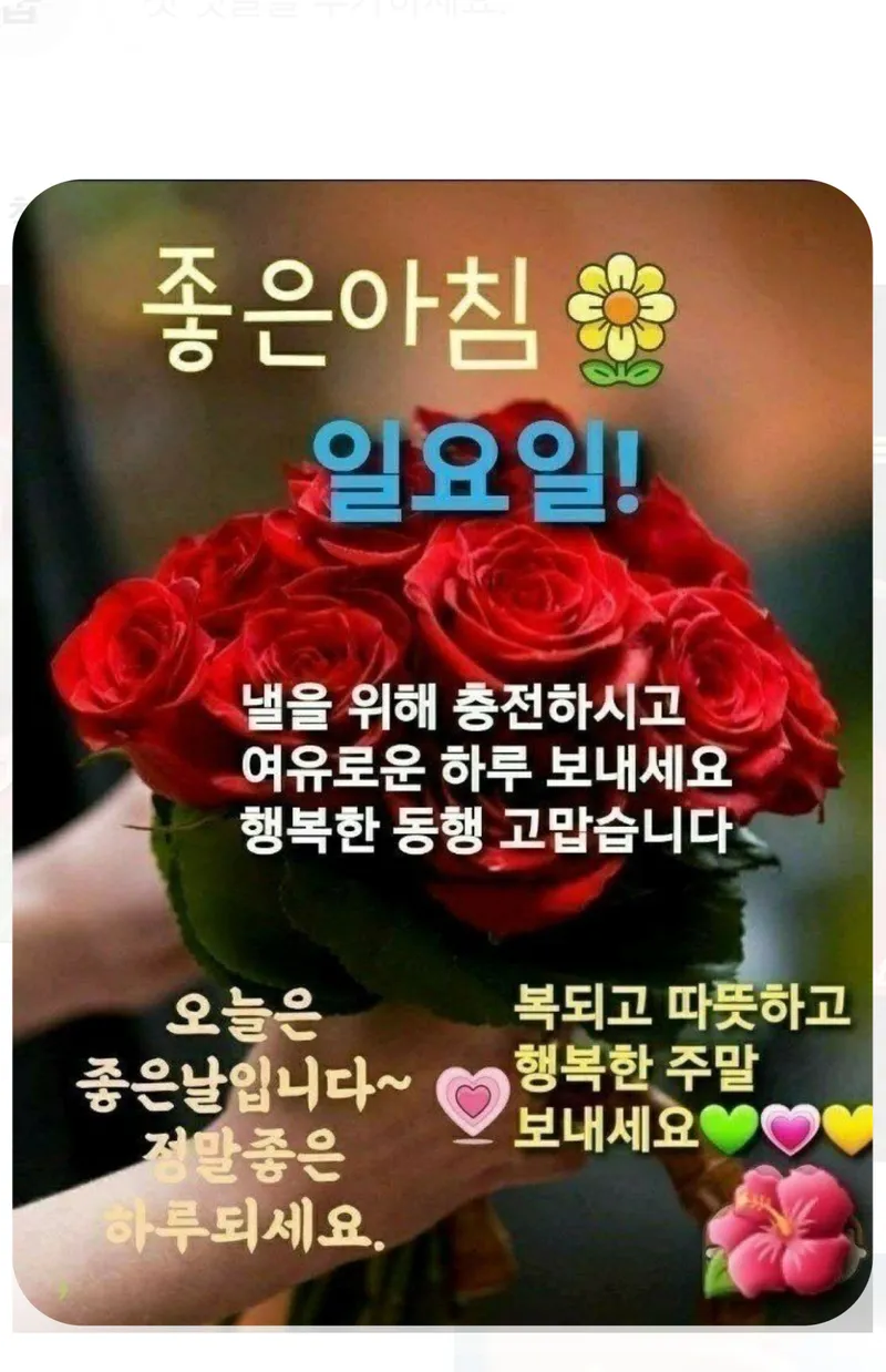 POST 이미지